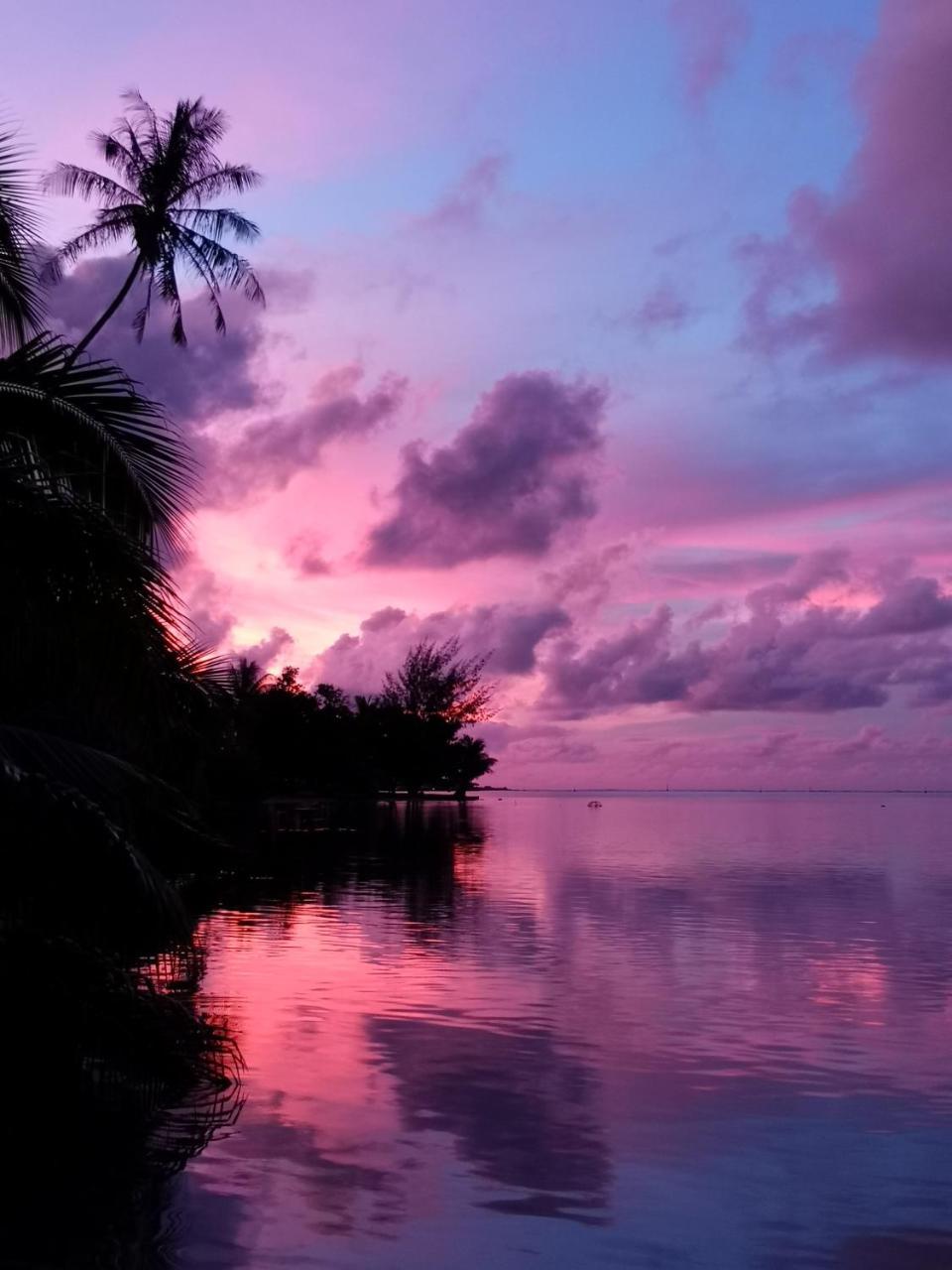 Lagoon Dream モーレア島 エクステリア 写真